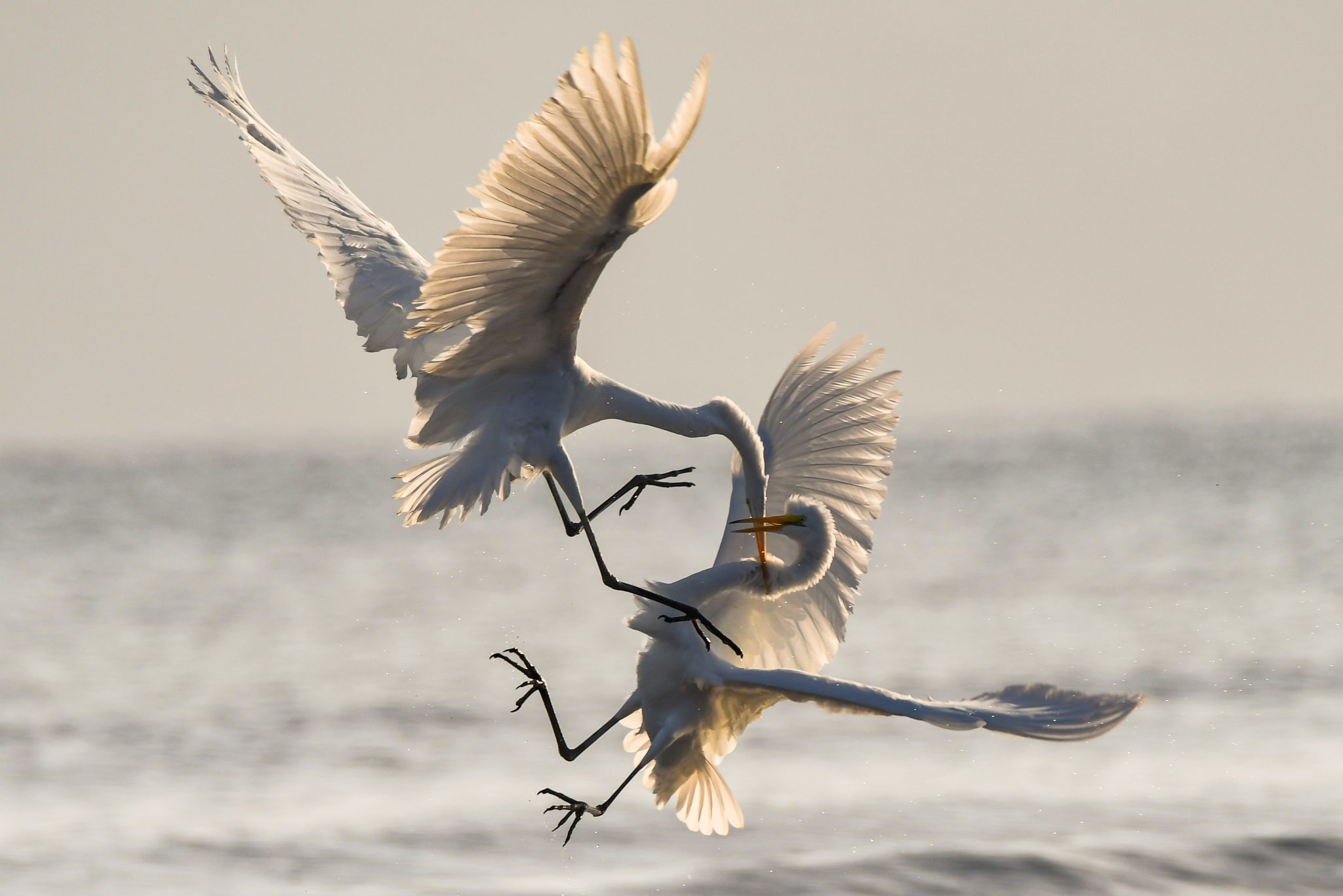How to Have a Constructive Conflict Conversation